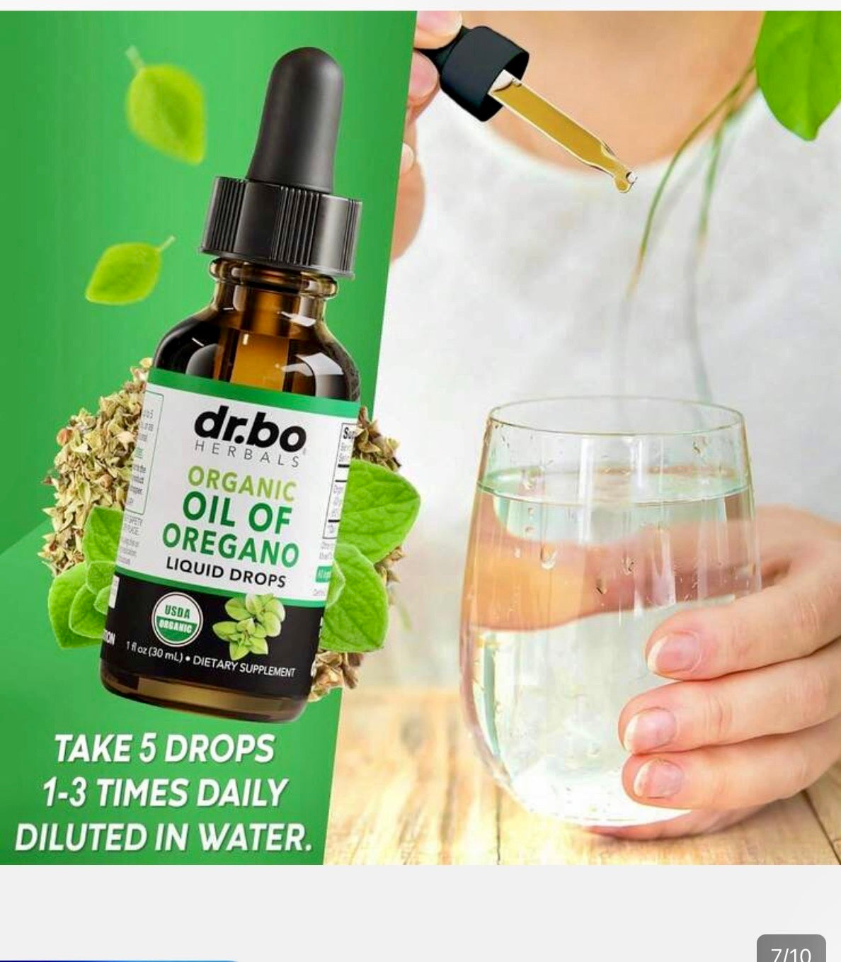 Oil Of Oregano
